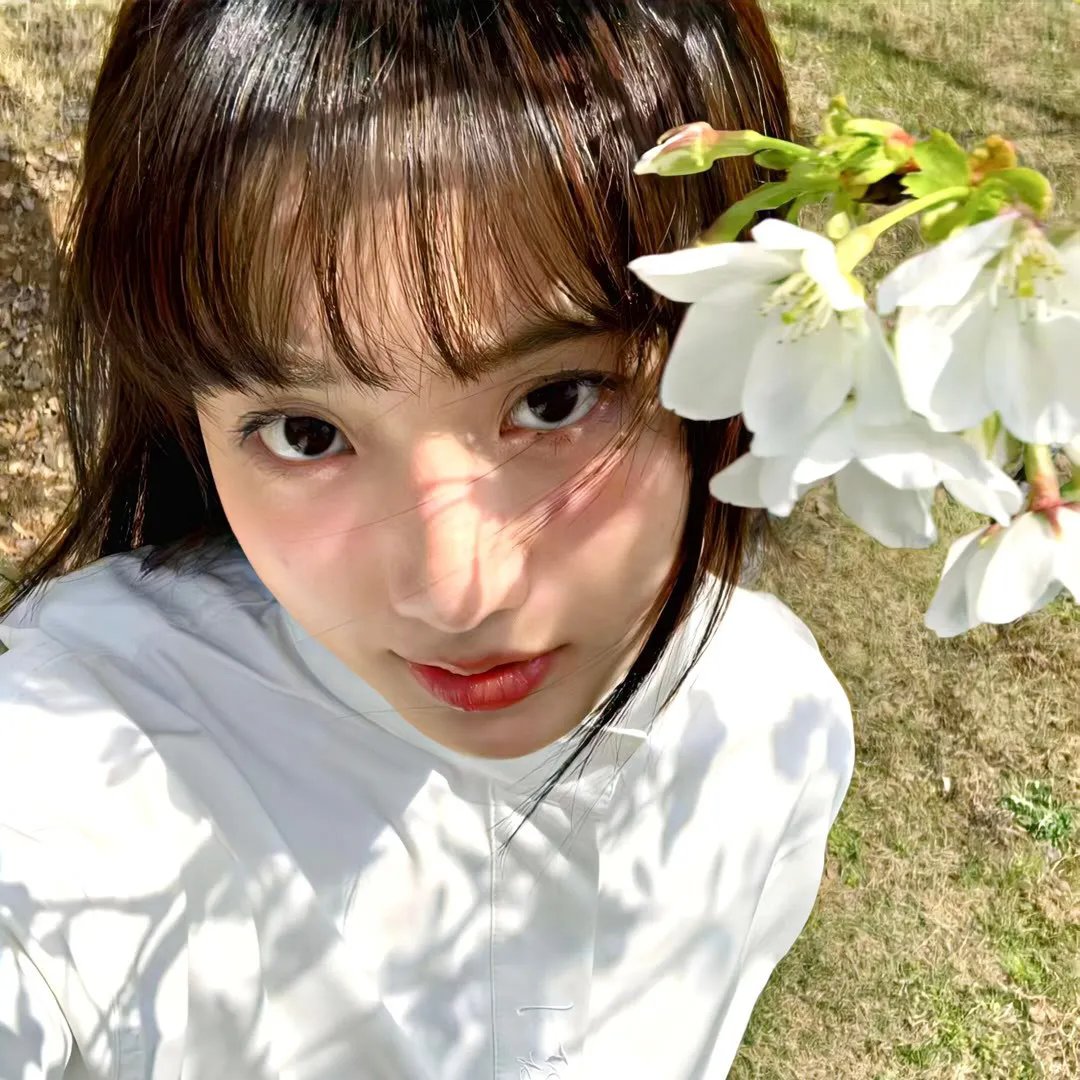 蛇之女封面
